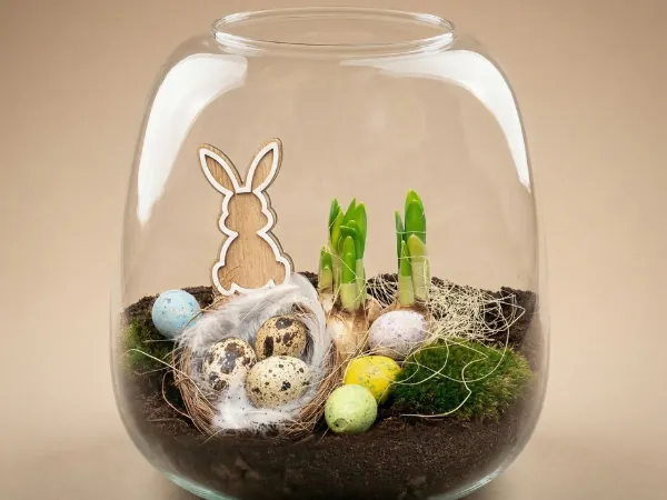 Mini Bunny Terrariums